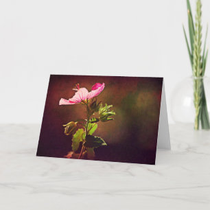 Light On Rock Rose Scripture Card Isaiah 60:1 Karte