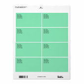 Light Pastel Minze Green Shipping Label (Vorne)