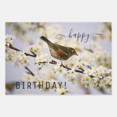 Light Pastell Spring Geschenkpapier Set (Vorderseite 3)