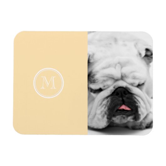 Light Peach High End farbig Magnet (Horizontal)