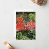 Light Peach Rose Mitteilungskarte (Vorderseite/Rückseite Beispiel)