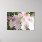 Light Pink Alstroemeria Canvas Print Leinwanddruck (Vorderseite)