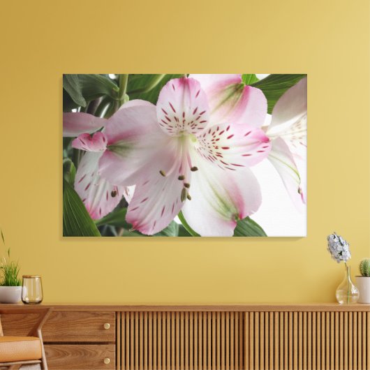 Light Pink Alstroemeria Canvas Print Leinwanddruck (Insitu (Wohnzimmer))