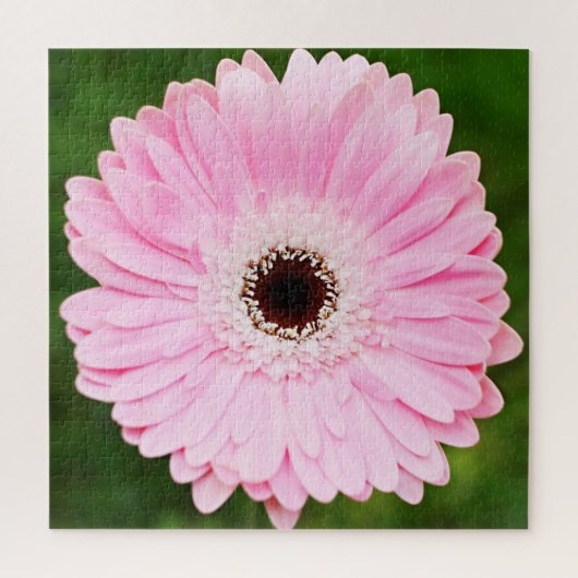 Light Pink Gerbera Daisy Floral Puzzle (Vertikal)