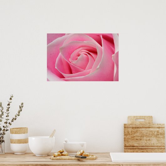 Light Pink Rose 01 Poster (Küche)