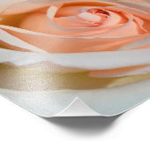 Light Pink Rose Fotodruck (Ecke)