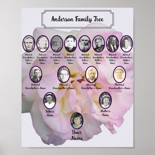 Light Pink Rose Photo with Oval Ancestor Photos Poster (Vorne)