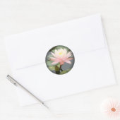 Light Pink Water Lily Fade to Black Round Stickers (Umschlag)