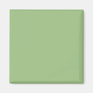Light Sage Green 9DC183 Color - Option zum Hinzufü Magnet