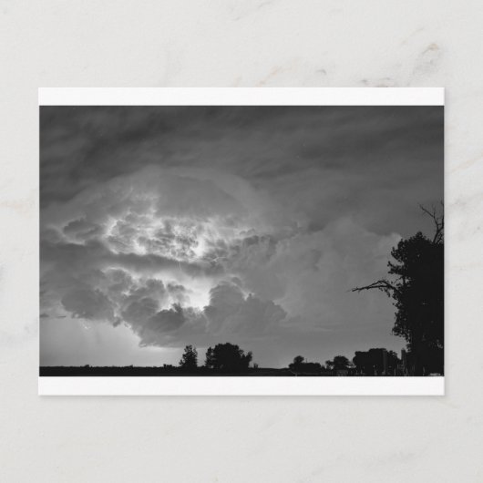 Light Show Black and White Postkarte (Vorderseite)