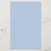 Light Steel Blue Solid Color Flyer (Hinten)