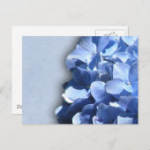 LIght und dunkelblaue Hydrangeas Postkarte (Vorne/Hinten)