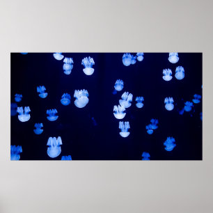 LIGHTED LANTERNS POSTER