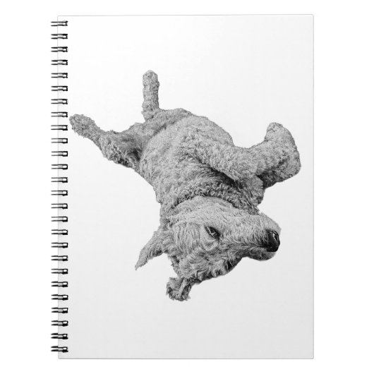 Lighthearted Lines Notizblock (Vorderseite)