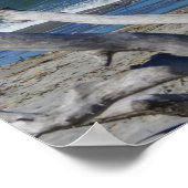 Lighthouse Sightseeing Poster (Ecke)
