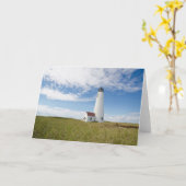 Lighthouses | Lighthouse Massachusetts Karte (Gelbe Blume)