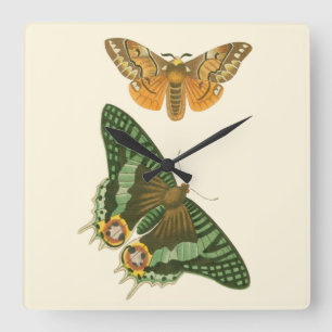 Lightly Bordered Butterfly Painting Quadratische Wanduhr