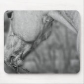 Lightly Dun Dapples - Mousepad (Vorne)