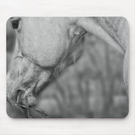 Lightly Dun Dapples - Mousepad (Vorne)