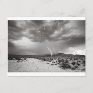 Lightning Joshua Tree B&W Postkarte