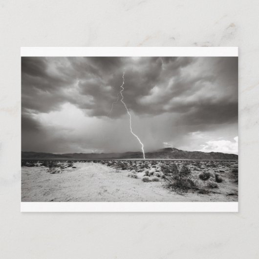 Lightning Joshua Tree B&W Postkarte (Vorderseite)