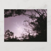 Lightning over Lawnton Postkarte (Vorderseite)