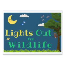 Lights Out FOr Wildlife