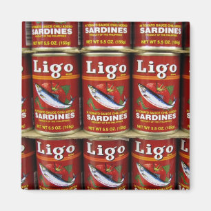 Ligo Sardine kann Magnet