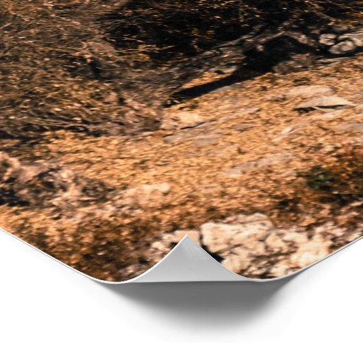 Lijiang, China Poster (Ecke)