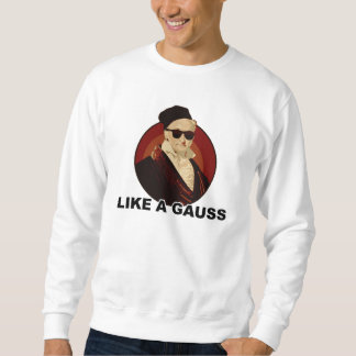 Like a Gauss Sweatshirt