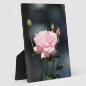 Like a Rose Fotoplatte (Seite)