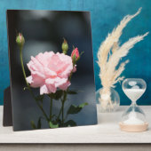 Like a Rose Fotoplatte (Seite)