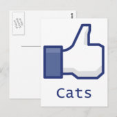 Like Cats Postkarte (Vorne/Hinten)