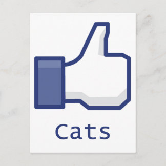 Like Cats Postkarte