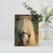 Lil' Bill Postkarte (Stehend Vorderseite)