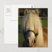 Lil' Bill Postkarte (Vorne/Hinten)