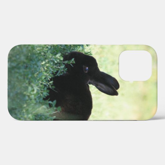 Lil Black Bunny Case-Mate iPhone Hülle (Rückseite (Horizontal))