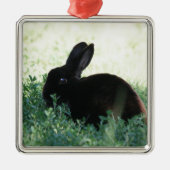 Lil Black Bunny Ornament Aus Metall (Vorne)