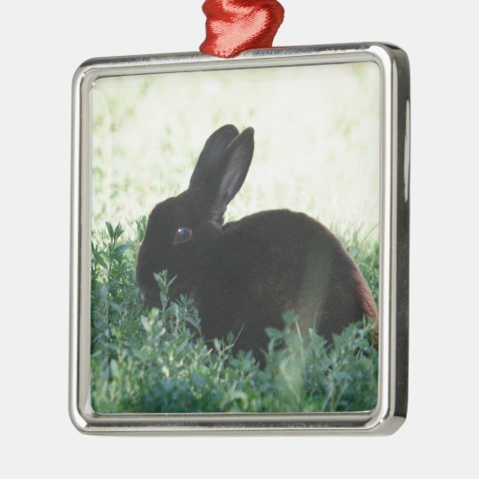 Lil Black Bunny Ornament Aus Metall (Links)