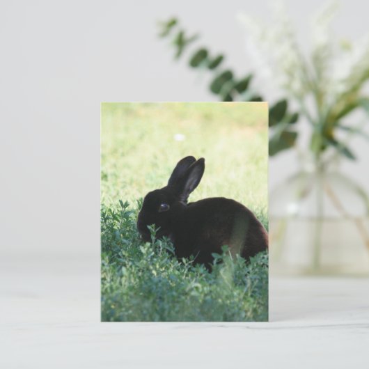 Lil Black Bunny Postkarte (Stehend Vorderseite)