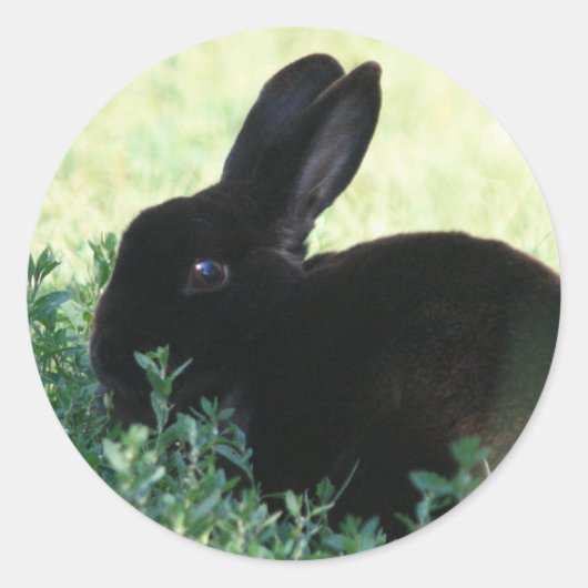 Lil Black Bunny Runder Aufkleber (Vorderseite)