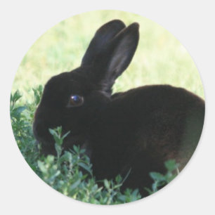 Lil Black Bunny Runder Aufkleber