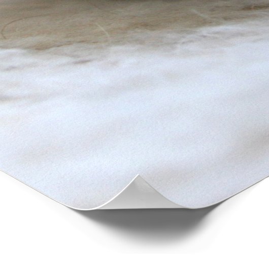 Lil Black Kitten Poster (Ecke)