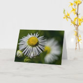 Li'l Daisies Card Karte (Gelbe Blume)