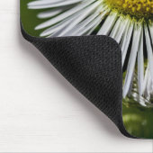 Li'l Daisy Mousepad (Ecke)
