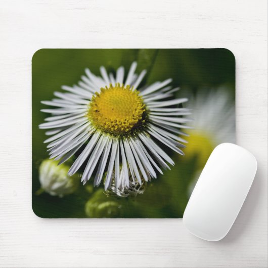 Li'l Daisy Mousepad (Mit Mouse)