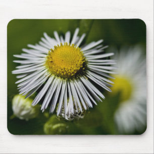 Li'l Daisy Mousepad
