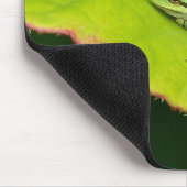 Lil Frosch Mousepad (Ecke)