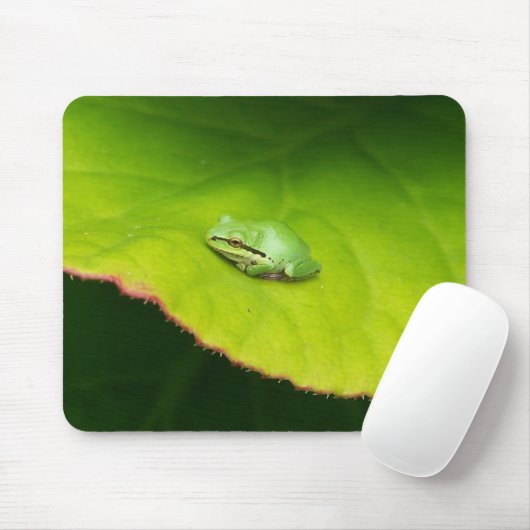 Lil Frosch Mousepad (Mit Mouse)