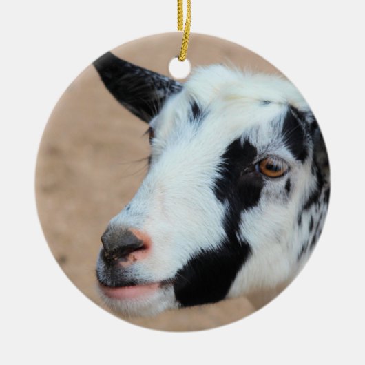 Lil goat keramik ornament (Vorne)